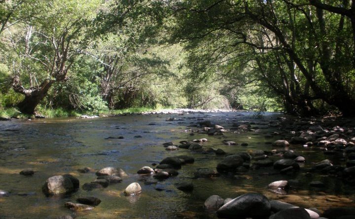 Cabrera Despierta, AEMS “Ríos con vida” y Cabrera Natural denuncian que el proyecto de embalse y central hidroeléctrica en el río Cabrera perjudicará a nuestra comarca