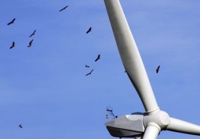 Rechazados los parques eólicos Bierzo Wind I y II que afectaban a Encinéu y Benuza