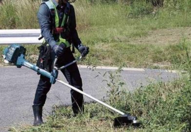 El ayuntamiento de Trueitas recuerda a la vecindad la obligatoriedad de mantener limpios los solares