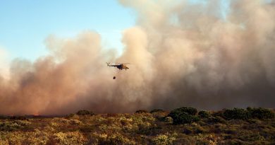 Las llamas y el humo del incendio forestal de la Sierra de la Culebra obligan a evacuar ocho municipios zamoranos