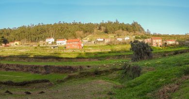«Aldeas Modelo» en los concellos gallegos: un ejemplo de desarrollo rural