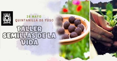 Taller de Semillas de la Vida: un evento ecoeducativo en Quintanilla de Yuso