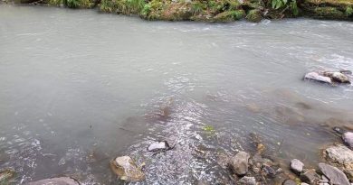 Estado de las aguas a la altura de Robledo de Losada. DL