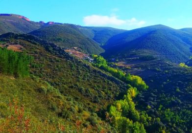 UPL advierte que los datos confirman que el modelo no funciona: la Región Leonesa pierde población, empleo y renta