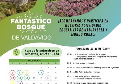 La Junta Vecinal de Valdavido organiza este verano doce actividades educativas en el contexto del proyecto «Fantástico Bosque»