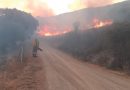 La Coordinadora en Defensa del Territorio pone el foco en el negocio de la madera quemada