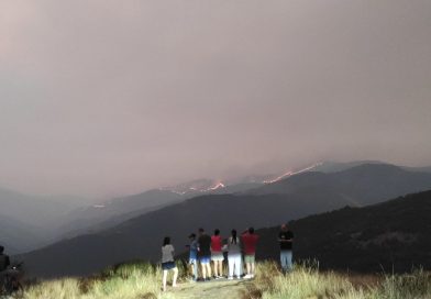 Varias asociaciones recurren las resoluciones de la Junta que pretenden permitir la ganadería y la caza en los montes de la provincia de León incendiados