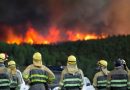 Tres meses de los peores incendios jamás sufridos en León: 4.450 kms arrasados en 13 ‘infiernos’ y aún sin recuento oficial