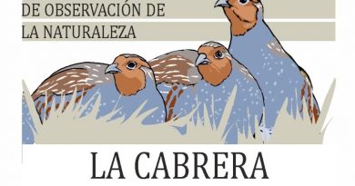 Encuentro de turismo de observación de la naturaleza en Cabreira Encuentro de turismo de observación de la naturaleza en Cabreira