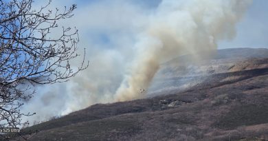 Declarado un incendio entre Lomba y Silván Declarado un incendio entre Lomba y Silván