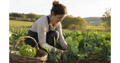 La Diputación abre la presentación de candidaturas a los premios Mujer Rural 2026