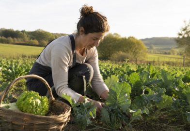 La Diputación abre la presentación de candidaturas a los premios Mujer Rural 2026